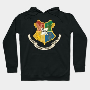 Mount Holyoke College (of Witchcraft and Wizardry) Hoodie